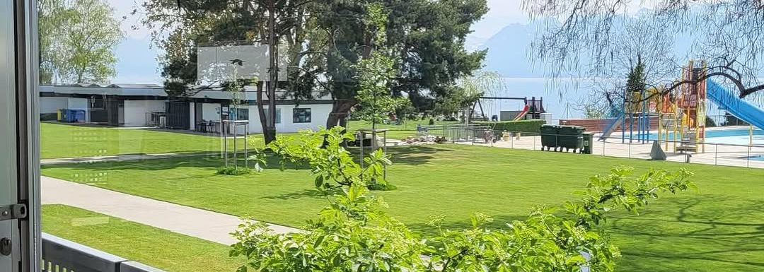 Grande baie vitrée propre ouvrant sur un parc, un lac et les montagnes